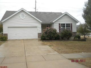 Foreclosed Home - 303 FALCON HILL DR, 63368