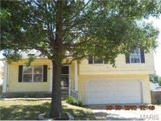 Foreclosed Home - 6 MOSELLE CT, 63368