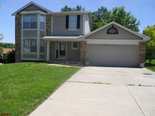 Foreclosed Home - 23 VALLEY VIEW DR, 63376