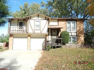 Foreclosed Home - 6 FOUR WINDS DR, 63376