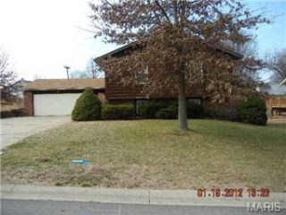 Foreclosed Home - 14 SPRING WOOD DR, 63376