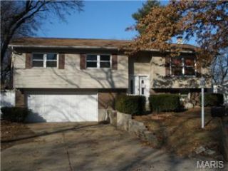 Foreclosed Home - 38 W SUNNY SIDE DR, 63376