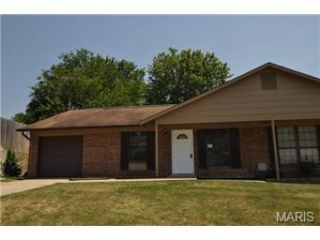 Foreclosed Home - 38 COACH DR, 63376