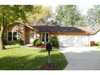 Foreclosed Home - 323 DRIFTWOOD LN, 63376
