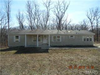 Foreclosed Home - 21797 BRUCE MORGAN, 63383