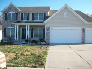 Foreclosed Home - 110 BOBCAT CT, 63385