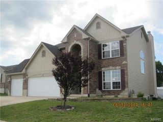 Foreclosed Home - 113 SHADOW POINTE DR # D, 63385