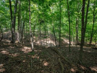 Foreclosed Home - List 101163994