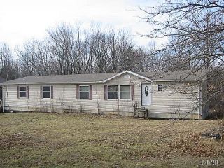 Foreclosed Home - 10407 JENNINGS RD, 63624