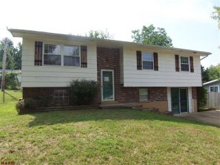Foreclosed Home - 905 DOTSON ST, 63664
