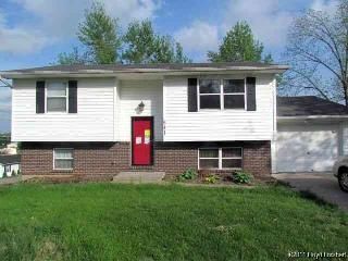 Foreclosed Home - 841 GREENSFERRY RD, 63755