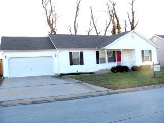 Foreclosed Home - 1876 WEBBWOOD DR, 64870