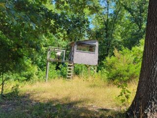 Foreclosed Home - 1194 GREEN HILL RD, 65652