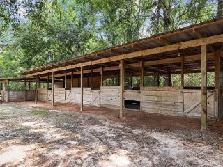 Foreclosed Home - 23520 THORNHILL RD, 70431