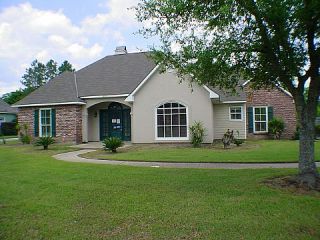 Foreclosed Home - 18839 WILDLIFE WAY DR, 70817
