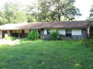 Foreclosed Home - 965 BLACKSNAKE RD, 71913