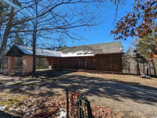 Foreclosed Home - 610 LILES RD, 72543