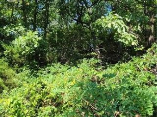 Foreclosed Home - List 100875644