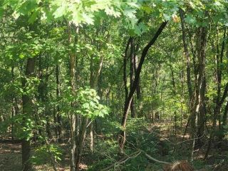 Foreclosed Home - List 100896152