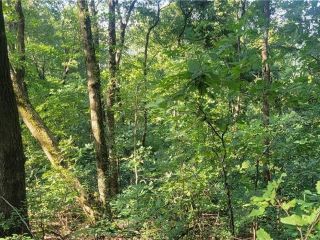 Foreclosed Home - List 100909594