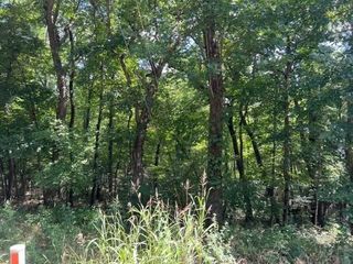 Foreclosed Home - List 100914394