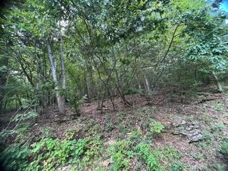 Foreclosed Home - List 100919250