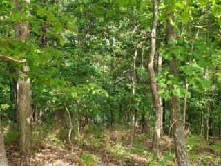 Foreclosed Home - List 101180543