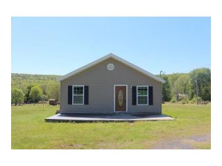 Foreclosed Home - 7025 Mill Creek Mountain Rd, 72930