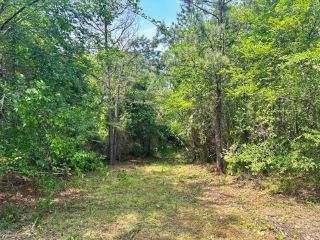 Foreclosed Home - 22078 CONSER RD LOT 1, 74937
