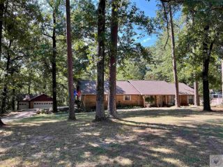 Foreclosed Home - 276 MYRTLE SPRINGS RD, 75503