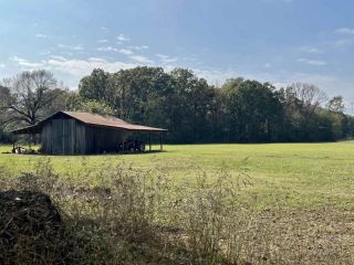 Foreclosed Home - 1709 COUNTY ROAD 2006, 75570