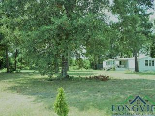 Foreclosed Home - 162 COUNTY ROAD 319, 75633