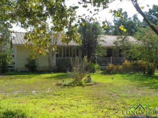 Foreclosed Home - 9024 WHITE TAIL RD, 75644