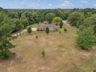 Foreclosed Home - 122 COUNTY ROAD 3817, 75757