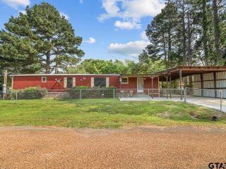 Foreclosed Home - 5383 SKYLINE DR, 75758