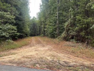 Foreclosed Home - 18484 COUNTY ROAD 3186, 75792