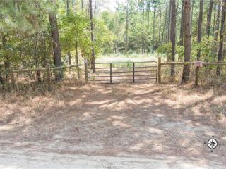 Foreclosed Home - 996 COUNTY ROAD 1050A, 75835
