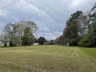 Foreclosed Home - 193 COUNTY ROAD 2095, 75932