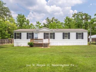 Foreclosed Home - 310 W MAPLE ST, 75949