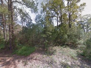 Foreclosed Home - 620 WALKER RD, 75949