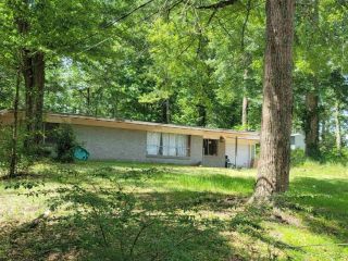 Foreclosed Home - 221 TONAHILL ST, 75951