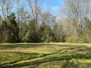 Foreclosed Home - 1668 COUNTY ROAD 3173, 75954