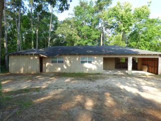Foreclosed Home - 401 NE STALLINGS DR, 75961