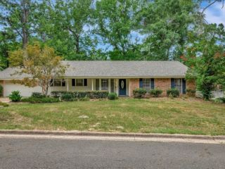 Foreclosed Home - 3907 MAID MARION LN, 75965