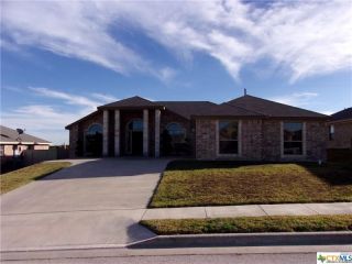 Foreclosed Home - 308 BELO DR, 76542