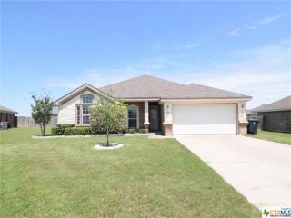 Foreclosed Home - 203 ROWDY DR, 76542