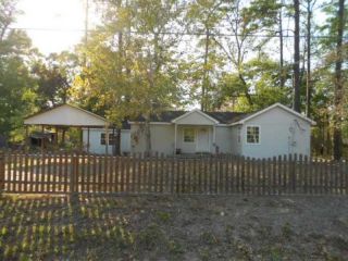 Foreclosed Home - 16955 VALLEY LN, 77306