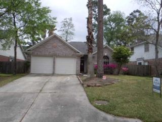 Foreclosed Home - 20914 KINGS CLOVER CT, 77346