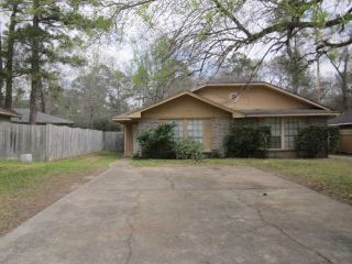 Foreclosed Home - 22320 TREE HOUSE LN, 77373