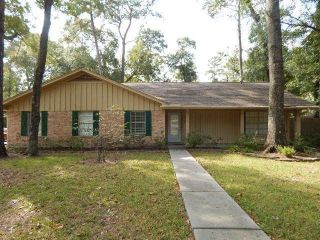 Foreclosed Home - 3203 Wilde Woods Way, 77380
